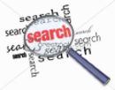 Web Search